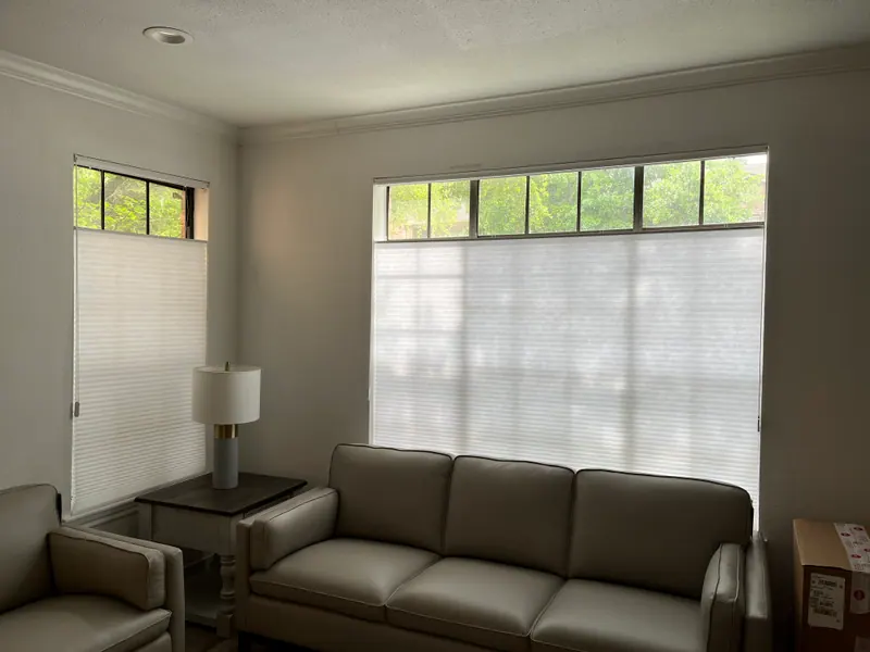 Honeycomb shades on living-room windows.